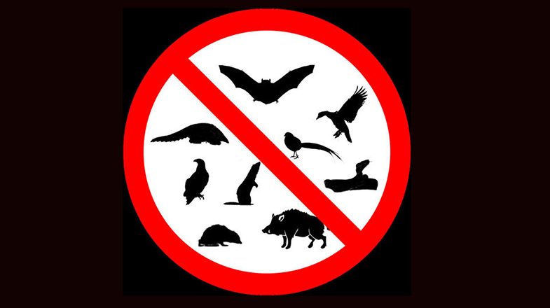 全面禁食野生动物后，哪些动物能吃哪些不能吃？